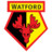 Watford FC Icon